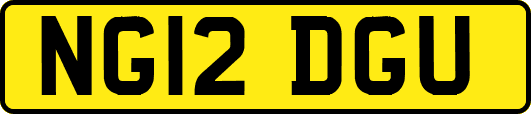 NG12DGU