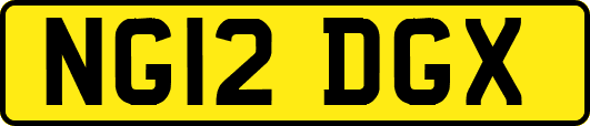 NG12DGX