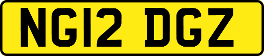 NG12DGZ