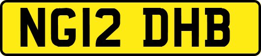 NG12DHB