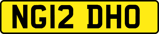 NG12DHO