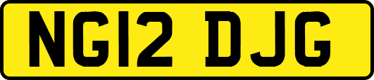 NG12DJG