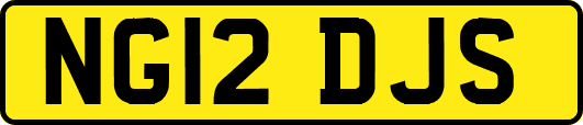NG12DJS