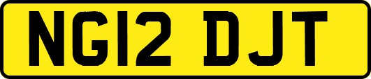 NG12DJT