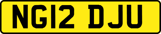NG12DJU