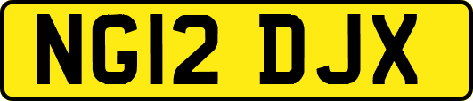 NG12DJX