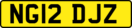 NG12DJZ