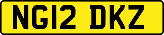 NG12DKZ