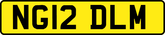 NG12DLM