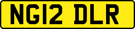 NG12DLR