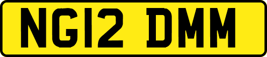 NG12DMM