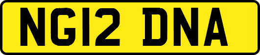 NG12DNA
