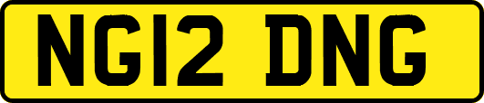 NG12DNG