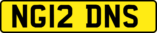 NG12DNS