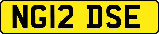 NG12DSE