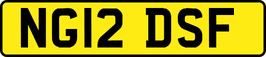 NG12DSF