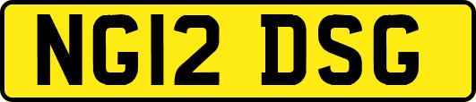 NG12DSG