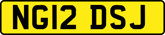 NG12DSJ