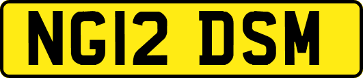 NG12DSM