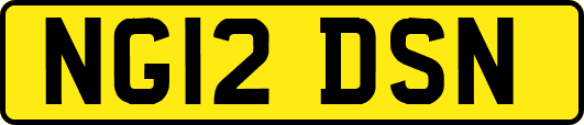 NG12DSN