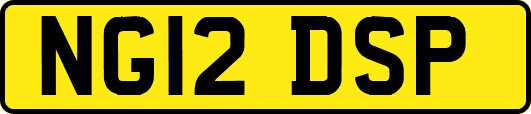 NG12DSP
