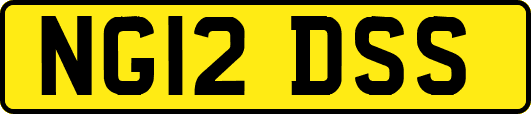 NG12DSS