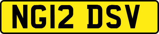 NG12DSV