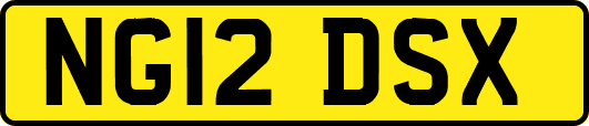 NG12DSX