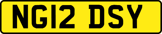 NG12DSY