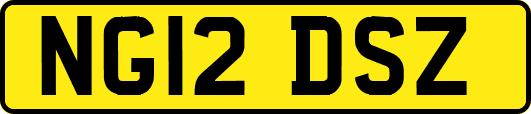 NG12DSZ