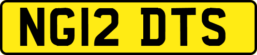 NG12DTS