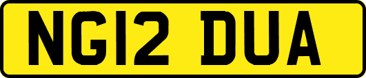 NG12DUA