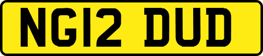 NG12DUD