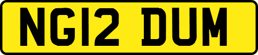 NG12DUM