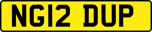 NG12DUP