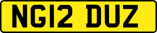 NG12DUZ