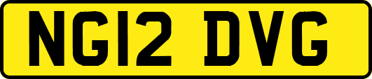 NG12DVG