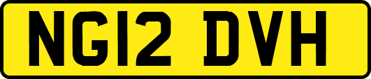 NG12DVH