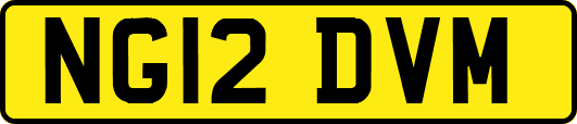 NG12DVM