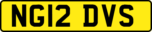 NG12DVS