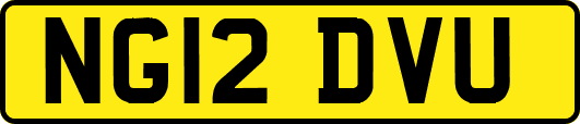 NG12DVU