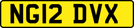 NG12DVX