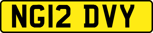 NG12DVY