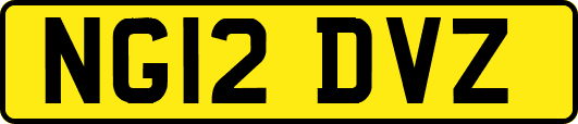 NG12DVZ