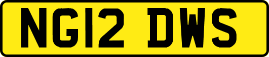 NG12DWS