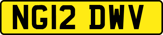 NG12DWV