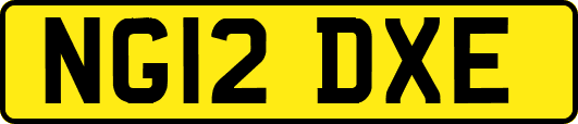 NG12DXE