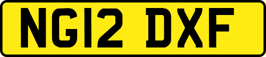 NG12DXF