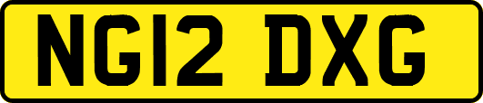 NG12DXG