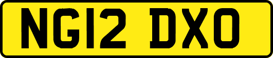 NG12DXO